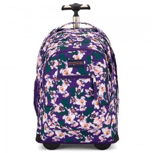 Plecak Na Laptopa Jansport Driver 8 Rolling Fioletowe | PL3172IS